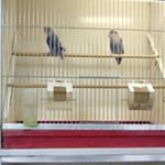 Profile Picture of casey mannion (@mannioncasey) on Instagram