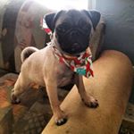 Joshua Corchado - Instagram Profile Picture of Joshua Corchado (@corchado.joshua) on Instagram