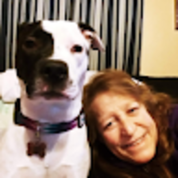 Profile Picture of Dawn Wakulat (@drwakulat) on Poshmark