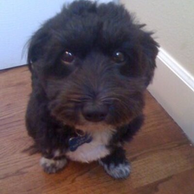 Profile Picture of Joel Suckow (@JoelSj857) on Twitter