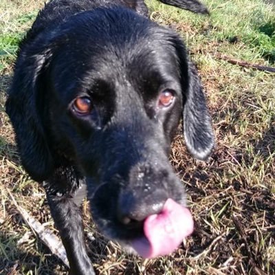 Profile Picture of George Ewing (@GeorgeE83620082) on Twitter