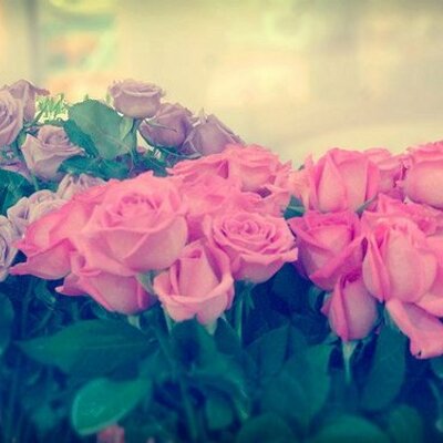 Profile Picture of amani abdalla (@amaniabdalla) on Twitter