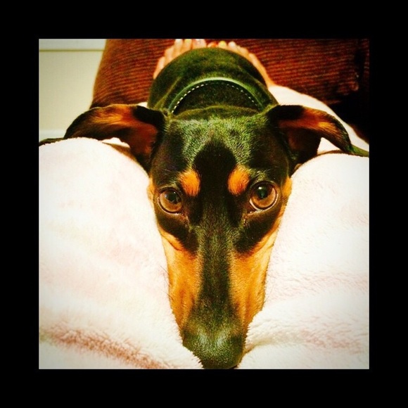 Profile Picture of Diva Tolosa (@divastar3411) on Poshmark