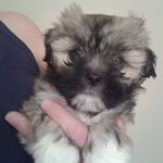 Profile Picture of Stewart Findlay (@stewart.findlay.94) on Instagram