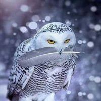 Profile Picture of Dee Thompson (@dee-thompson-26) on Quora