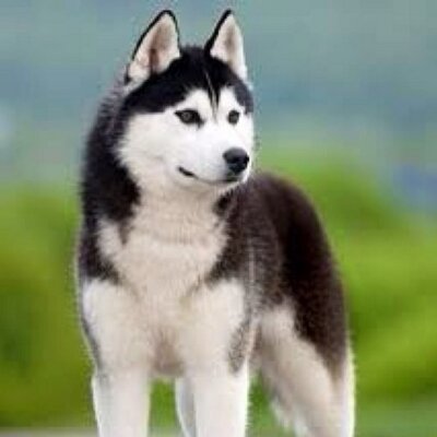 Profile Picture of Brian (@BrianHeward) on Twitter