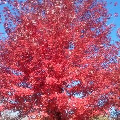 Profile Picture of Eunjung Kim (@ejkim728) on Twitter