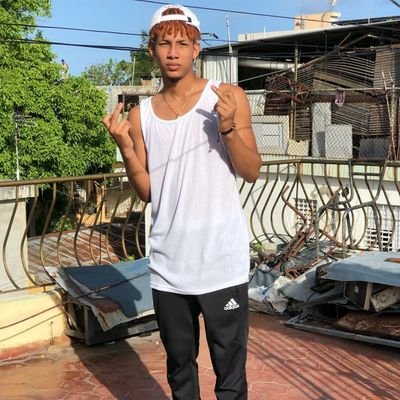 Profile Picture of Fernando Disla (@FernandoDisla3) on Twitter