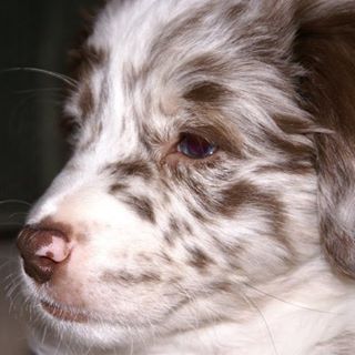 Profile Picture of Gail Leidner (@gail.leidner.5) on Facebook