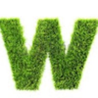 Profile Picture of Paul Winstead (@paul-winstead-4) on Quora