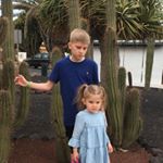 Profile Picture of Alan Witkowski (@witkowski5576) on Instagram