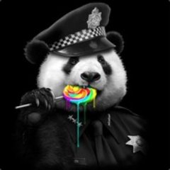 Profile Picture of Joseph Dumas (@JosephDumas66) on Twitter