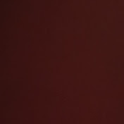 Profile Picture of Tom Walters (@tomwalters1061) on Youtube