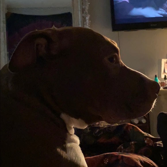 Profile Picture of Tanner Oliver (@tanoli68) on Poshmark