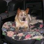 Profile Picture of Craig van Natta (@vannattacraig) on Instagram