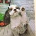 Profile Picture of Margie Dutcher (@margie.dutcher.96) on Facebook