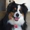 Profile Picture of Sam Shafer (@sam.shafer.338) on Facebook