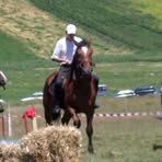 Profile Picture of Csongi Ilyés (@csongi.ilyes) on Facebook