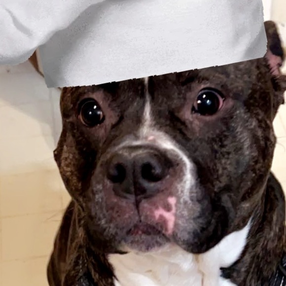 Sydney Gronboldt - Poshmark Profile Picture of Sydney Gronboldt (@sydneyhanceeee) on Poshmark