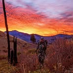 Profile Picture of Terrence Leach (@terrence.leach) on Facebook