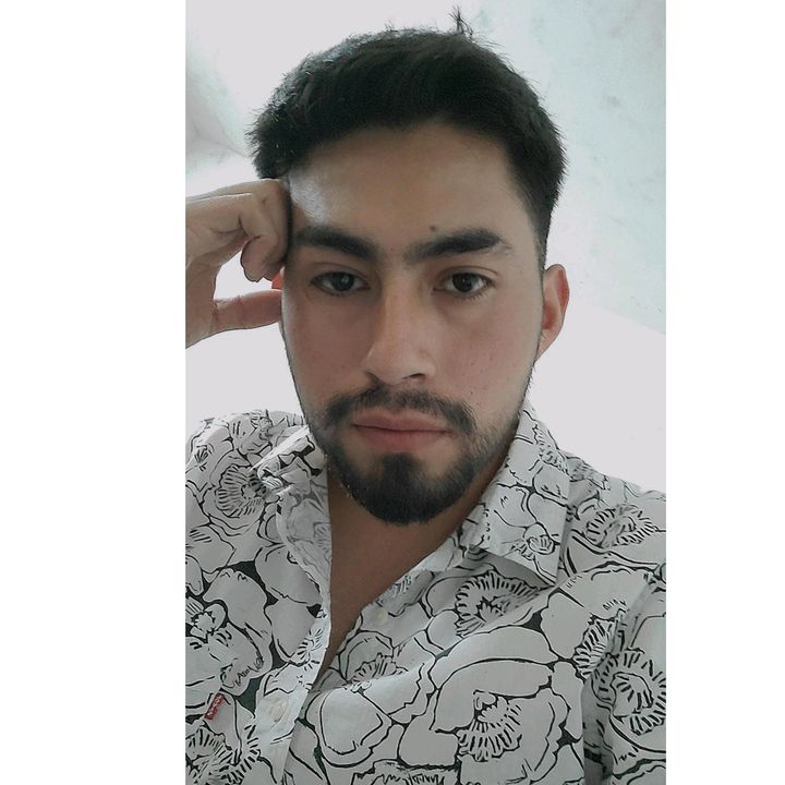 Profile Picture of David Roes (@davidroes) on Tiktok