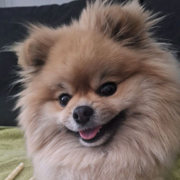 Profile Picture of Jennifer (@jennifernoorbergen) on Tiktok