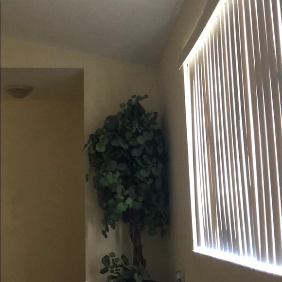 Profile Picture of May Lara (@may07l) on Poshmark