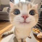 Profile Picture of Neil Cypher (@Neil-Cypher) on Facebook