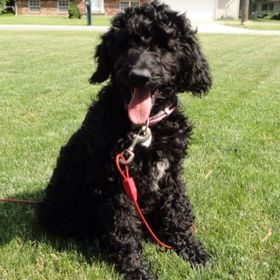 Profile Picture of Cora Hall (@corahall1024) on Pinterest