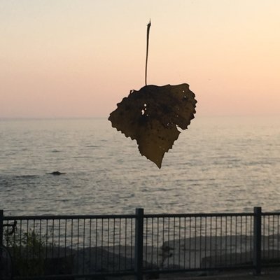 Profile Picture of Luis Ituarte (@propertyhopper) on Twitter