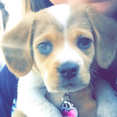 Profile Picture of Alyssa Catron (@__lyss___) on Twitter
