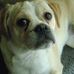 Profile Picture of Paula Darrow (@paula.darrow.7) on Facebook