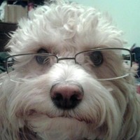 Profile Picture of Jessica Calvert (@jessica-calvert-7) on Quora