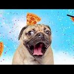 Profile Picture of John Steggell (@johnsteggell) on Instagram