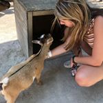 alex beaton - Instagram Profile Picture of alex beaton (@alexbeatons.priv) on Instagram