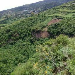 Profile Picture of james waddell (@jimbobdrums) on Pinterest