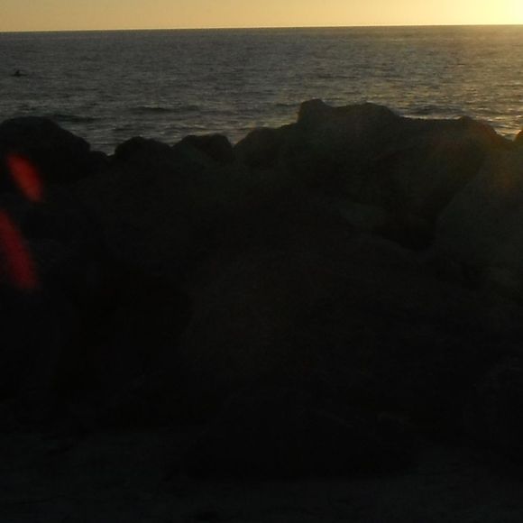 Profile Picture of Kim Fraley (@kiwipi) on Poshmark