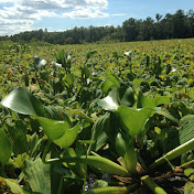 Profile Picture of Andrew Cooke, M.D. (Lake Allergy) (@andrewcookem.d.706) on Youtube