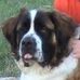 Profile Picture of Max Magnuson (@max.magnuson.39) on Facebook