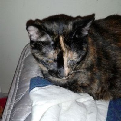 Profile Picture of Gladys Moore (@926_jake) on Twitter