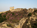 Profile Picture of Baishi Mountainon Wikipedia