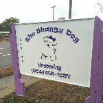 Profile Picture of Candi Walters (@theshaggydogyulee) on Instagram