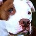 Profile Picture of Austin Latimer (@19latimera) on Pinterest