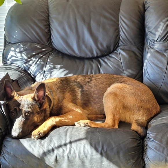 Profile Picture of Weldonna Scullion (@weldonna) on Poshmark