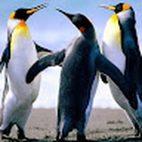 Profile Picture of Ashlee Hicks (@ashlee-hicks-26) on Quora