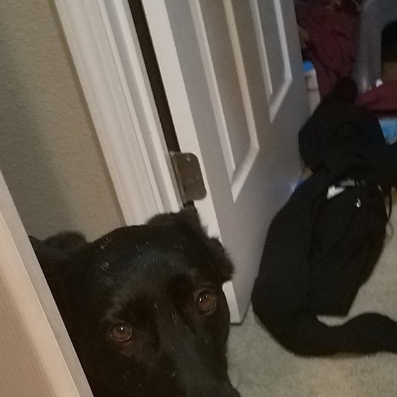 Profile Picture of Jake Dalton (@jakedalton44) on Poshmark