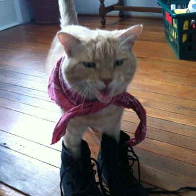 Profile Picture of Josh Bearman (@pfbearman) on Twitter