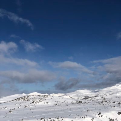 Profile Picture of Kyan Lenyk (@KyanLenyk) on Twitter