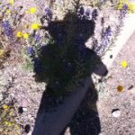 Profile Picture of Kim Keith (@kimkeith1) on Instagram