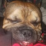 Profile Picture of Larry Jones (@larryj1124) on Instagram